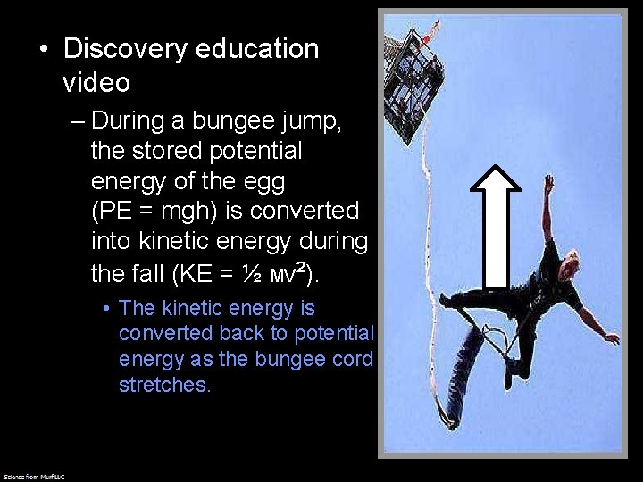  • Discovery education video – During a bungee jump, the stored potential energy