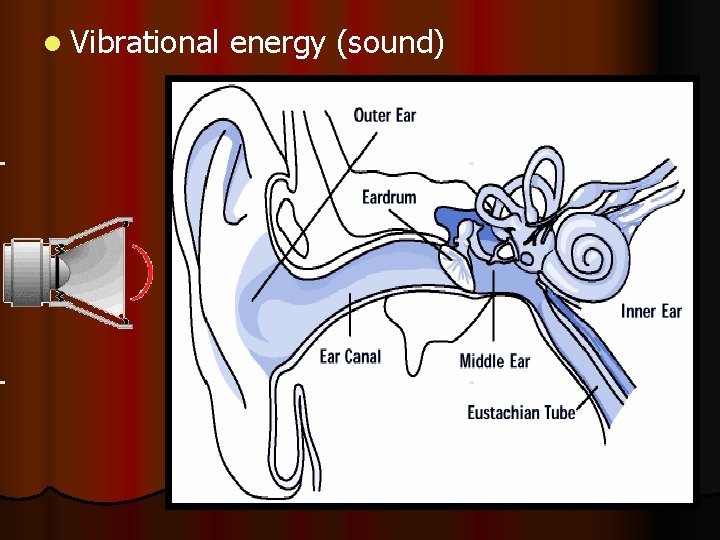 l Vibrational energy (sound) 