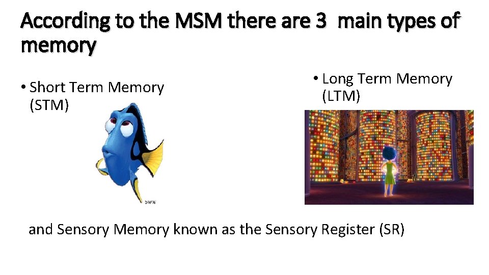 According to the MSM there are 3 main types of memory • Short Term