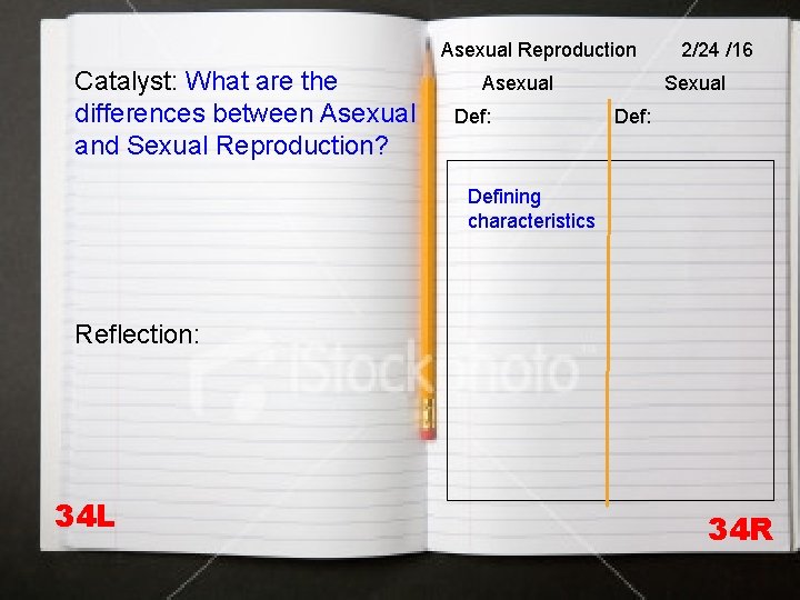 Asexual Reproduction Catalyst: What are the differences between Asexual and Sexual Reproduction? Asexual Def: