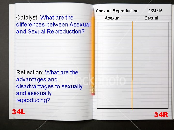 Asexual Reproduction Catalyst: What are the differences between Asexual and Sexual Reproduction? Asexual 2/24/16