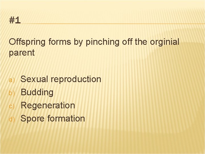 #1 Offspring forms by pinching off the orginial parent a) b) c) d) Sexual