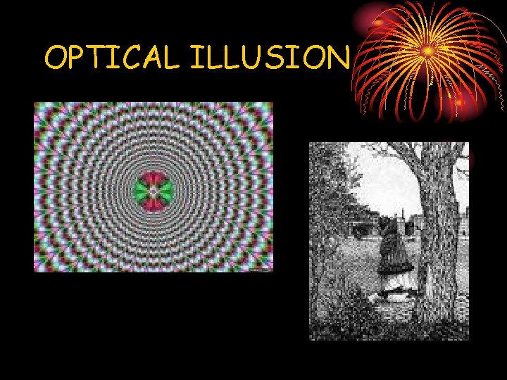 OPTICAL ILLUSION 