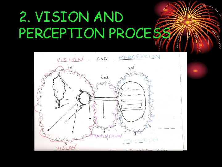 2. VISION AND PERCEPTION PROCESS 