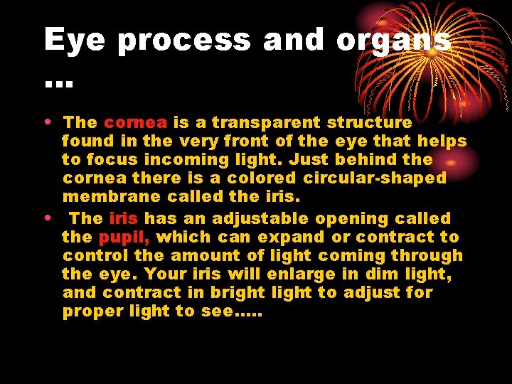 Eye process and organs … • The cornea is a transparent structure found in