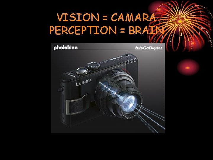VISION = CAMARA PERCEPTION = BRAIN 
