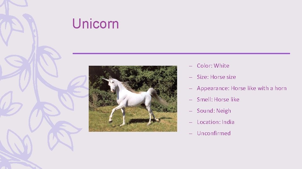 Unicorn – Color: White – Size: Horse size – Appearance: Horse like with a