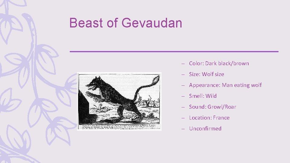 Beast of Gevaudan – Color: Dark black/brown – Size: Wolf size – Appearance: Man