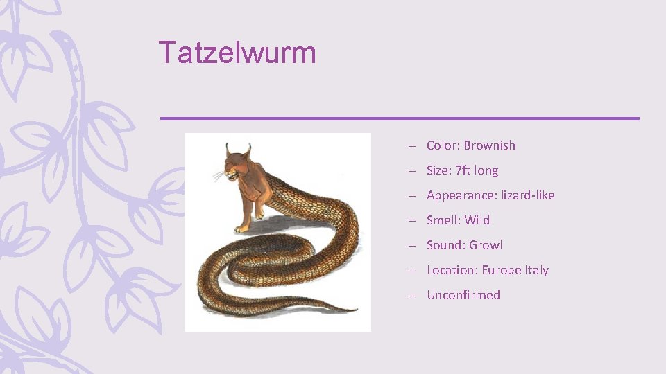 Tatzelwurm – Color: Brownish – Size: 7 ft long – Appearance: lizard-like – Smell: