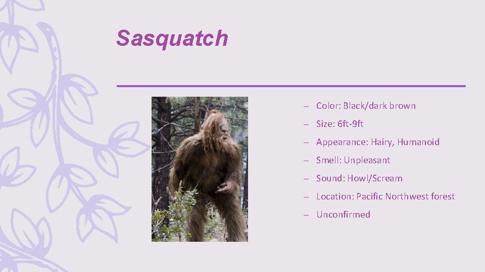 Sasquatch – Color: Black/dark brown – Size: 6 ft-9 ft – Appearance: Hairy, Humanoid