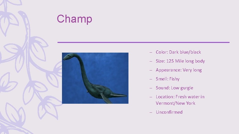 Champ – Color: Dark blue/black – Size: 125 Mile long body – Appearance: Very