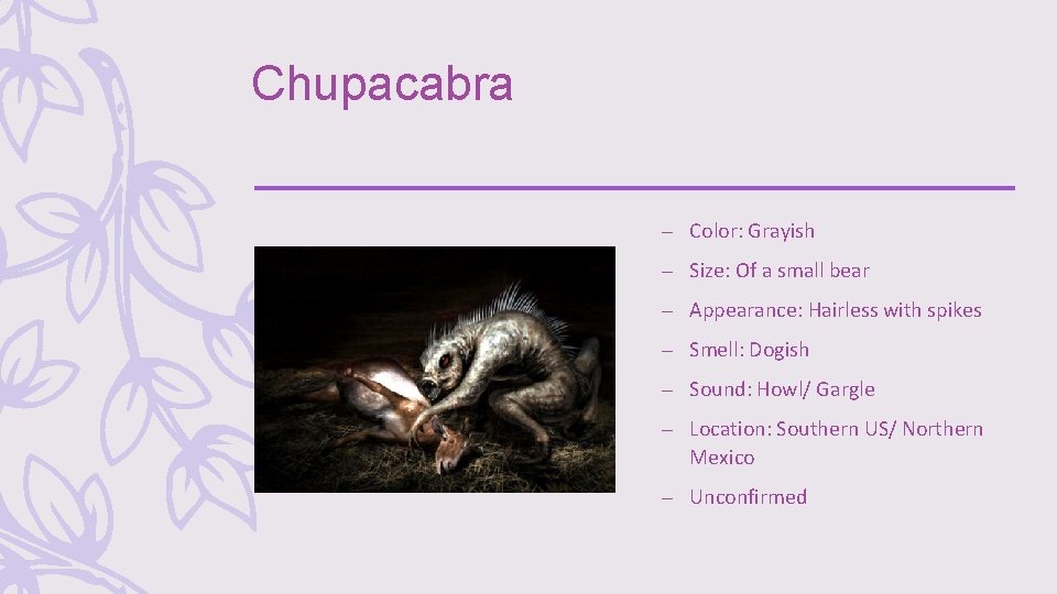 Chupacabra – Color: Grayish – Size: Of a small bear – Appearance: Hairless with