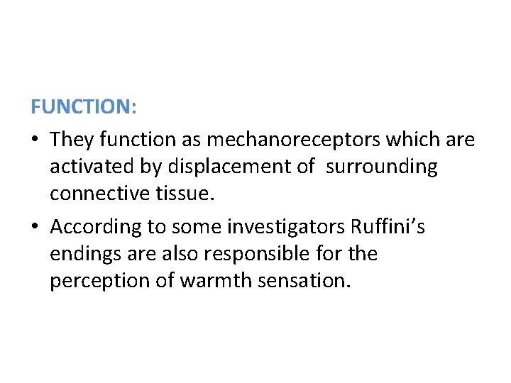 FUNCTION: • They function as mechanoreceptors which are activated by displacement of surrounding connective