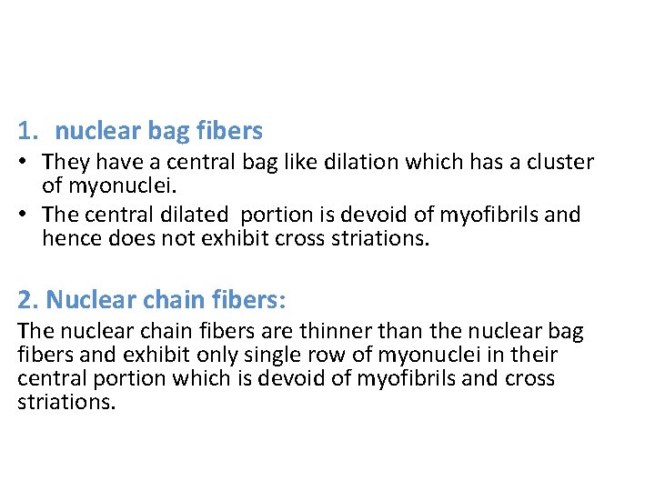 1. nuclear bag fibers • They have a central bag like dilation which has
