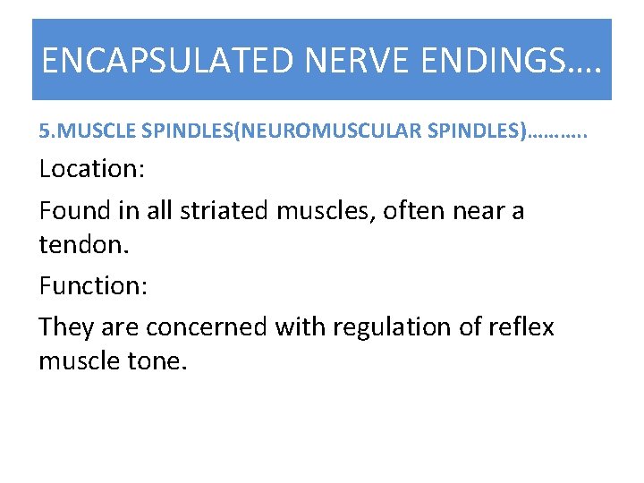 ENCAPSULATED NERVE ENDINGS…. 5. MUSCLE SPINDLES(NEUROMUSCULAR SPINDLES)………. . Location: Found in all striated muscles,