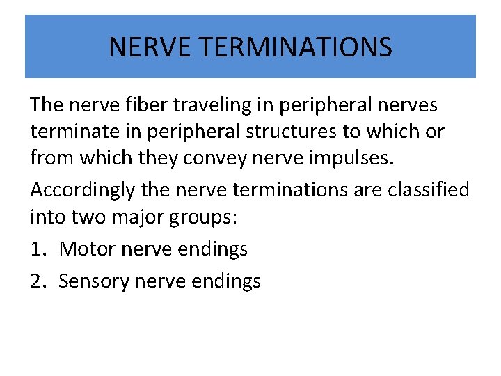 NERVE TERMINATIONS The nerve fiber traveling in peripheral nerves terminate in peripheral structures to