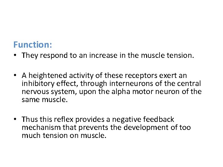 Function: • They respond to an increase in the muscle tension. • A heightened