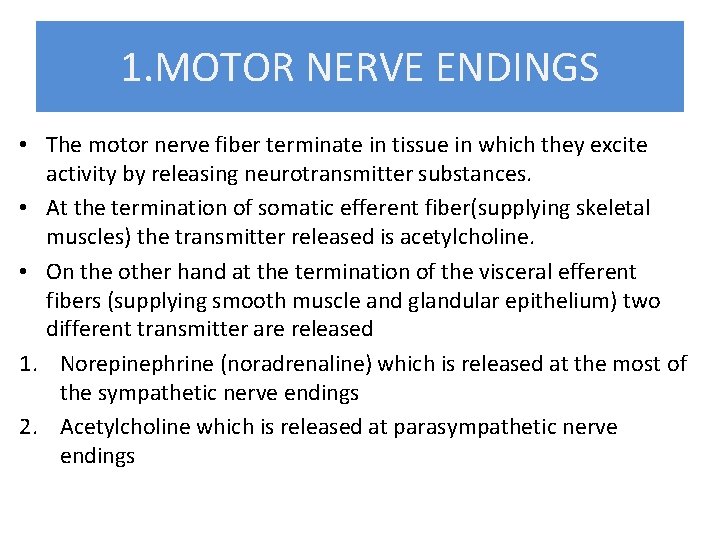 1. MOTOR NERVE ENDINGS • The motor nerve fiber terminate in tissue in which