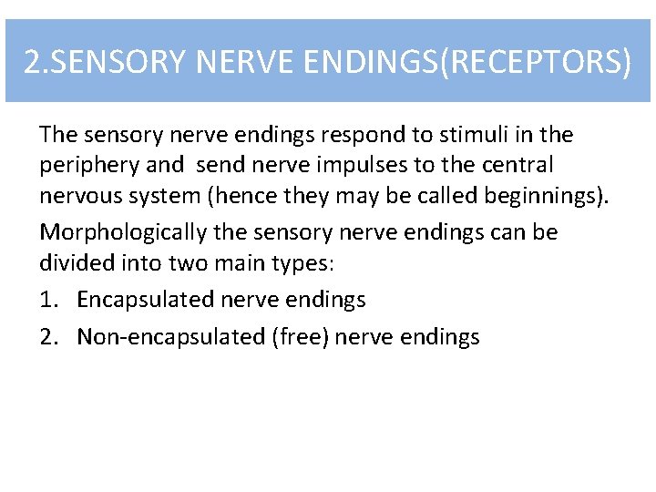 2. SENSORY NERVE ENDINGS(RECEPTORS) The sensory nerve endings respond to stimuli in the periphery
