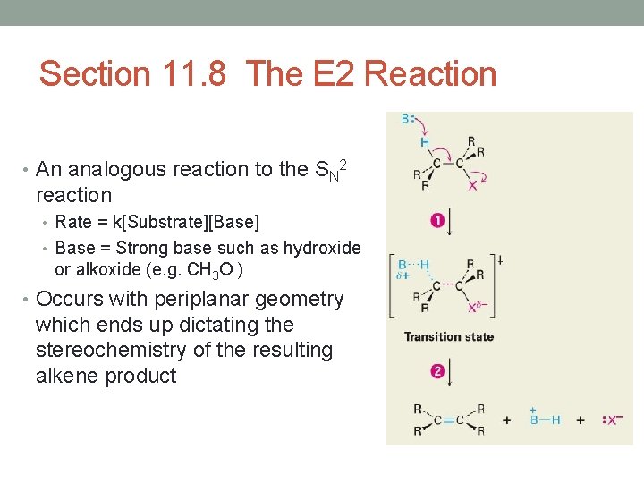 Section 11. 8 The E 2 Reaction • An analogous reaction to the SN Section 11. 8 The E 2 Reaction • An analogous reaction to the SN
