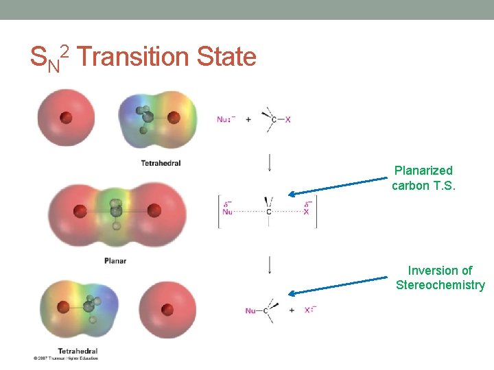 SN 2 Transition State Planarized carbon T. S. Inversion of Stereochemistry SN 2 Transition State Planarized carbon T. S. Inversion of Stereochemistry