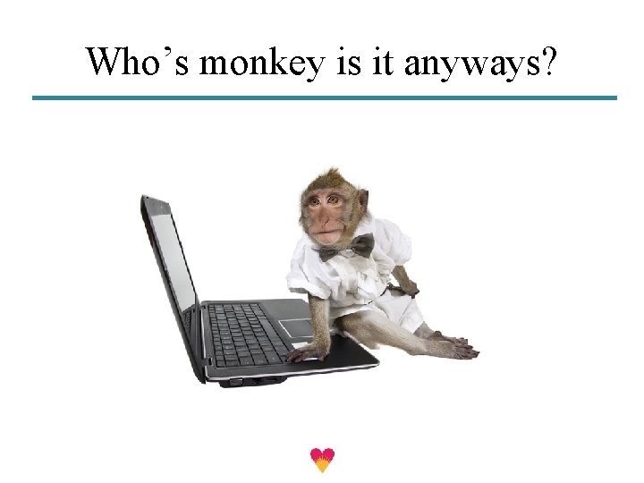 Who’s monkey is it anyways? 