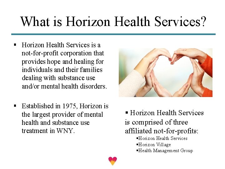 What is Horizon Health Services? § Horizon Health Services is a not-for-profit corporation that