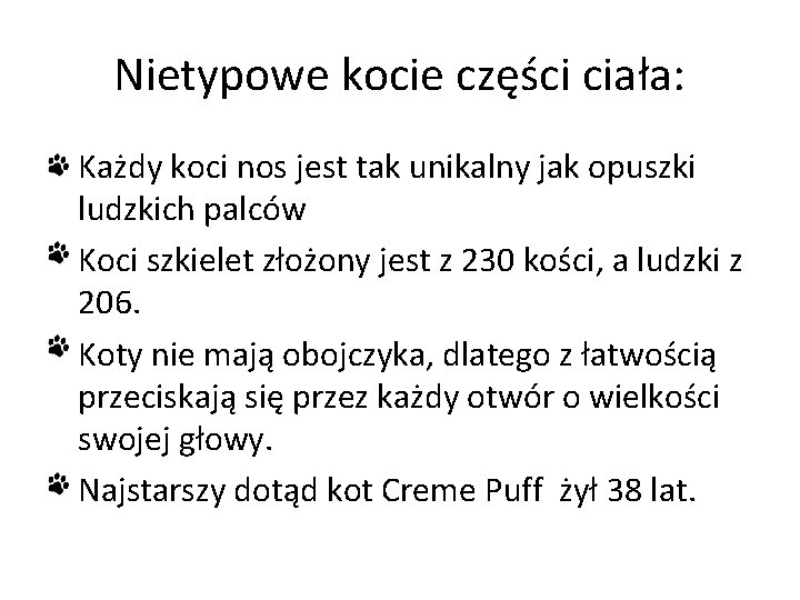 Nietypowe kocie części ciała: • Każdy koci nos jest tak unikalny jak opuszki ludzkich