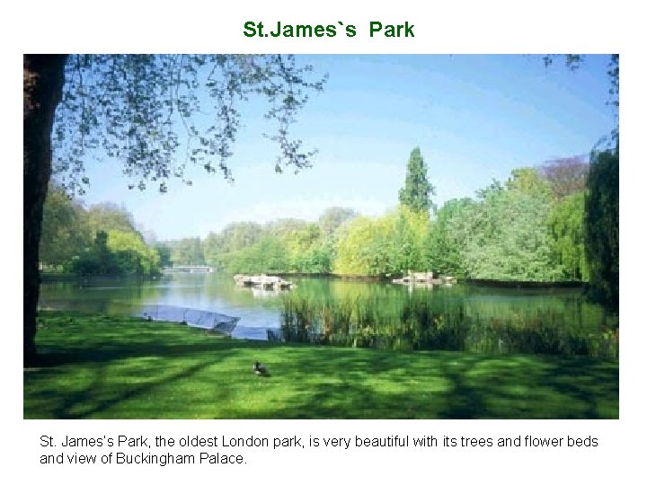 St. James`s Park St. James’s Park, the oldest London park, is very beautiful with