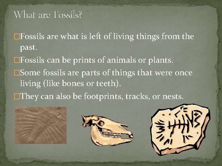 What are Fossils? �Fossils are what is left of living things from the past.