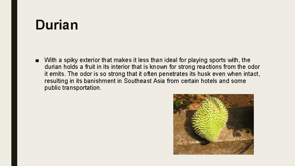 Durian ■ With a spiky exterior that makes it less than ideal for playing