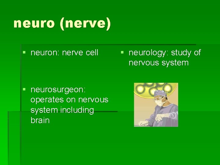 neuro (nerve) § neuron: nerve cell § neurosurgeon: operates on nervous system including brain