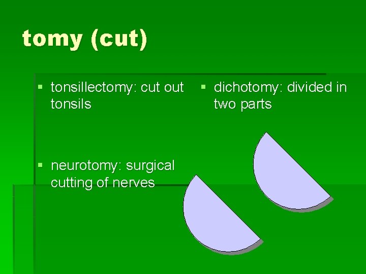 tomy (cut) § tonsillectomy: cut out tonsils § neurotomy: surgical cutting of nerves §