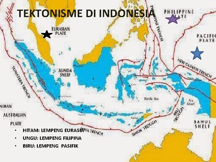 TEKTONISME DI INDONESIA • • • HITAM: LEMPENG EURASIA UNGU: LEMPENG FILIPINA BIRU: LEMPENG