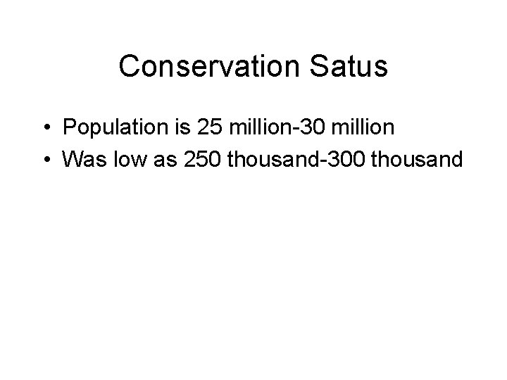 Conservation Satus • Population is 25 million-30 million • Was low as 250 thousand-300