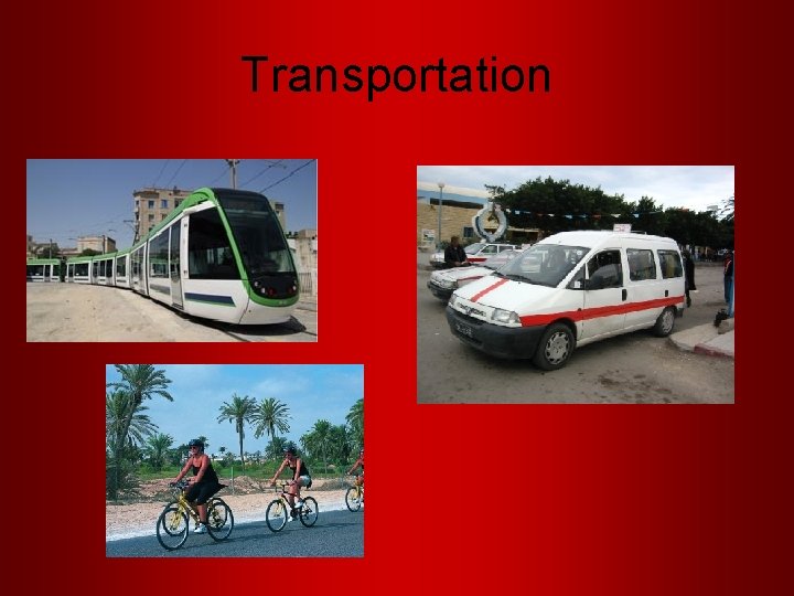 Transportation 