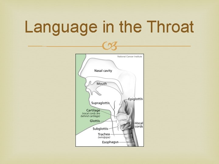 Language in the Throat 