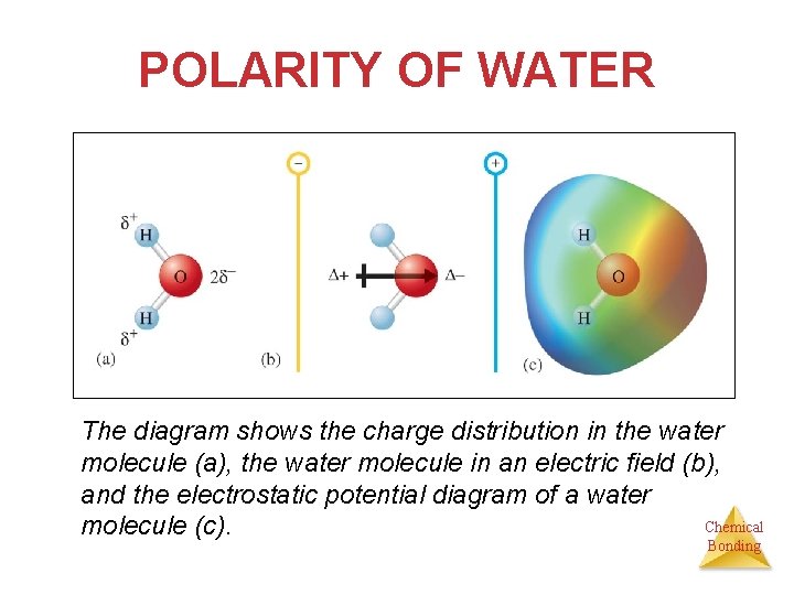 POLARITY OF WATER The diagram shows the charge distribution in the water molecule (a),