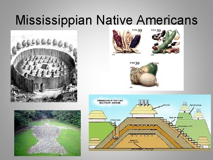 Mississippian Native Americans 