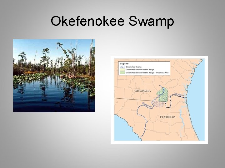 Okefenokee Swamp 