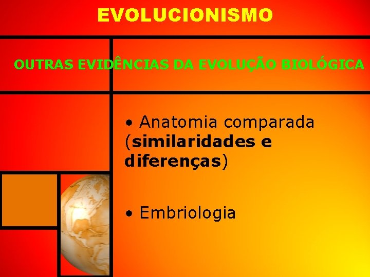 EVOLUCIONISMO OUTRAS EVIDÊNCIAS DA EVOLUÇÃO BIOLÓGICA • Anatomia comparada (similaridades e diferenças) • Embriologia