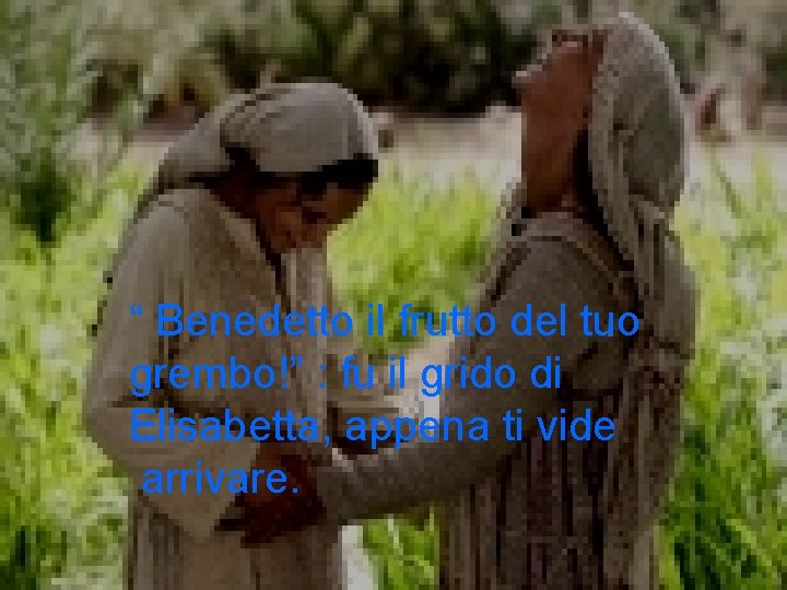 “ Benedetto il frutto del tuo grembo!” : fu il grido di Elisabetta, appena