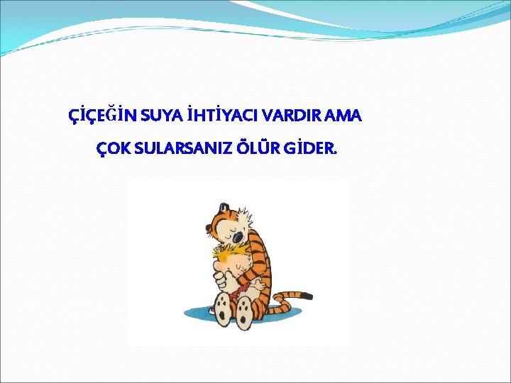 ÇİÇEĞİN SUYA İHTİYACI VARDIR AMA ÇOK SULARSANIZ ÖLÜR GİDER. 