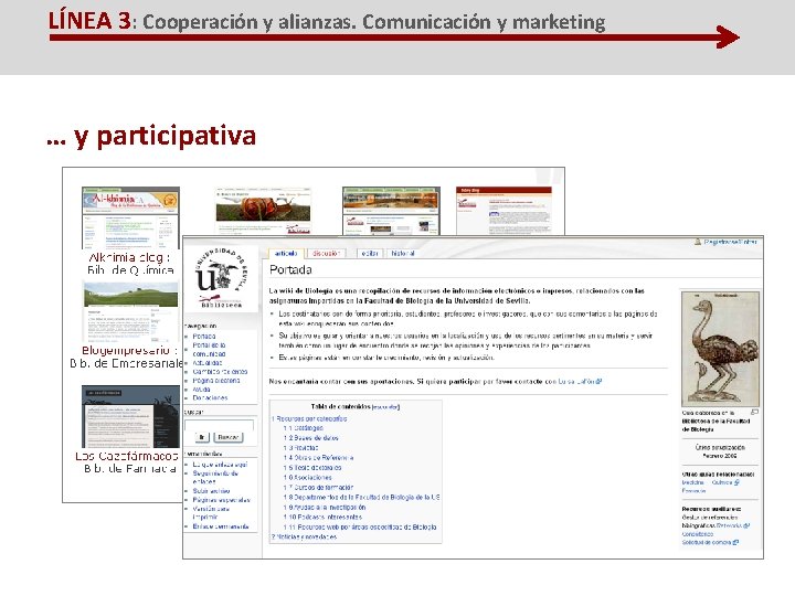 LÍNEA 3: Cooperación y alianzas. Comunicación y marketing … y participativa 