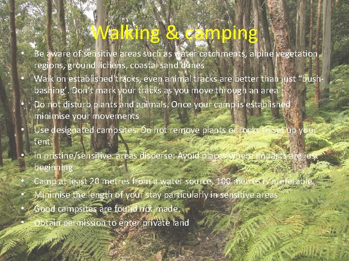Walking & camping • Be aware of sensitive areas such as water catchments, alpine