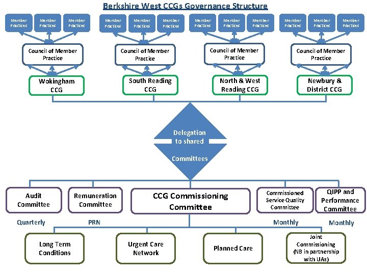 Berkshire West CCGs Governance Structure Member Practices Member Practices Council of Member Practice South