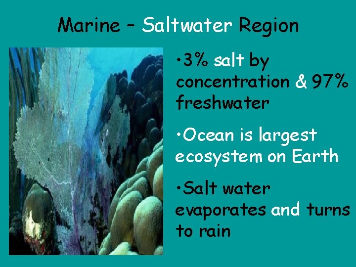 Marine – Saltwater Region • 3% salt by concentration & 97% freshwater • Ocean