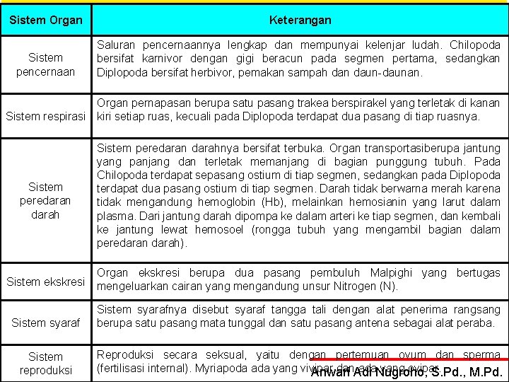 INVERTEBRATA II Sistem Organ Keterangan Sistem pencernaan Saluran pencernaannya lengkap dan mempunyai kelenjar ludah.