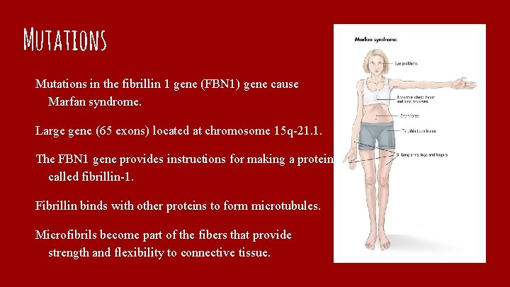 Mutations in the fibrillin 1 gene (FBN 1) gene cause Marfan syndrome. Large gene
