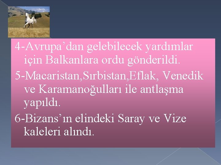 4 -Avrupa’dan gelebilecek yardımlar için Balkanlara ordu gönderildi. 5 -Macaristan, Sırbistan, Eflak, Venedik ve